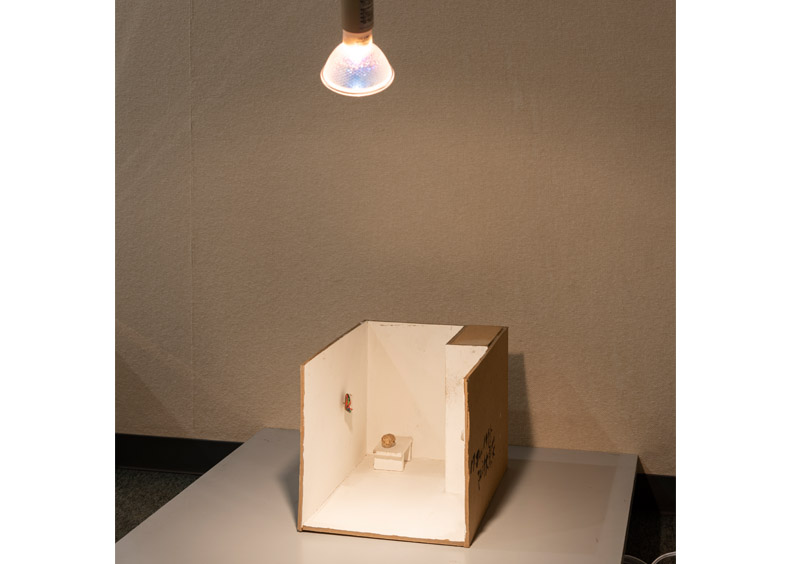 2025写真提供:現代美術−茨木 撮影:岡はるか